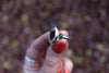 Size 8 Dendritic Agate x Tourmaline Ring