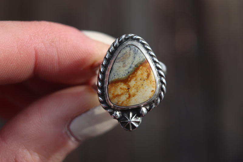 Size 7 Carlina Picture Jasper Ring