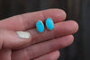 Sonoran Gem Turquoise Stud Earrings 2