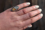 Size 5 Carlina Picture Jasper Ring