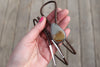 Owyhee Picture Jasper Bolo