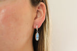 Golden Hill Turquoise Lever Back Earrings 1