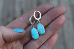 Sonoran Gem Turquoise Lever Back Earrings 1