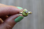 Size 9 Sonoran Gold Turquoise Ring