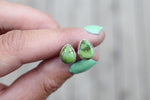 Sonoran Gold Turquoise Stud Earrings 1