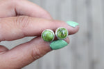 Sonoran Gold Turquoise Stud Earrings 2